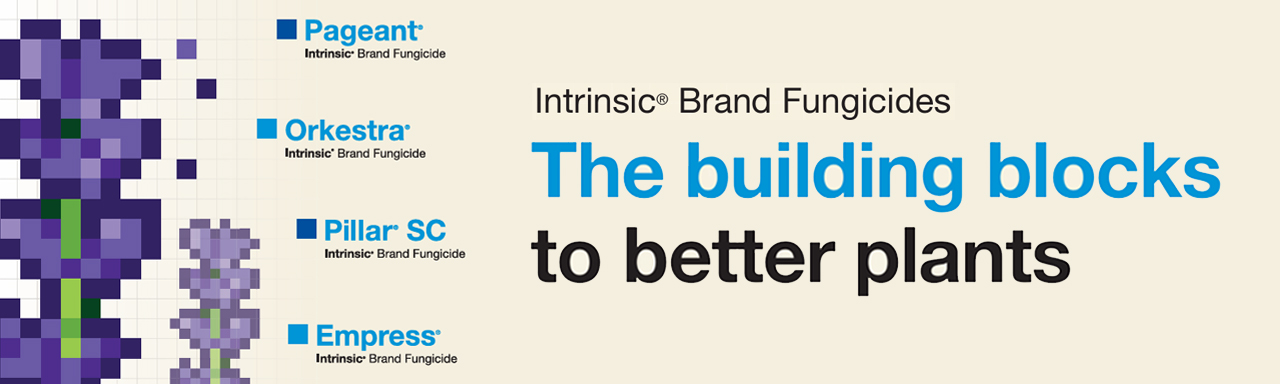 INTRINSIC® BRAND FUNGICIDE