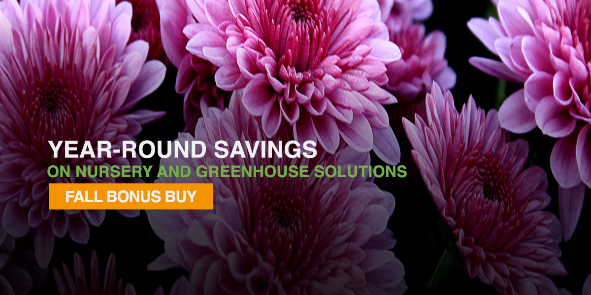 Fall Bonus Buy - Grow More Save More