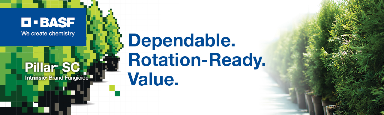 Pillar SC Intrinsic Brand Fungicide 