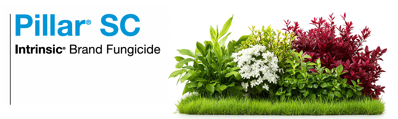 Pillar SC Intrinsic Brand Fungicide 
