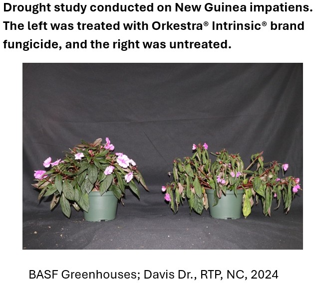 Drought Study