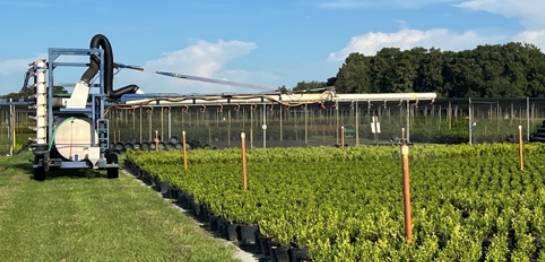 Pictured: Hibernia Nursery, located in Webster, FL.